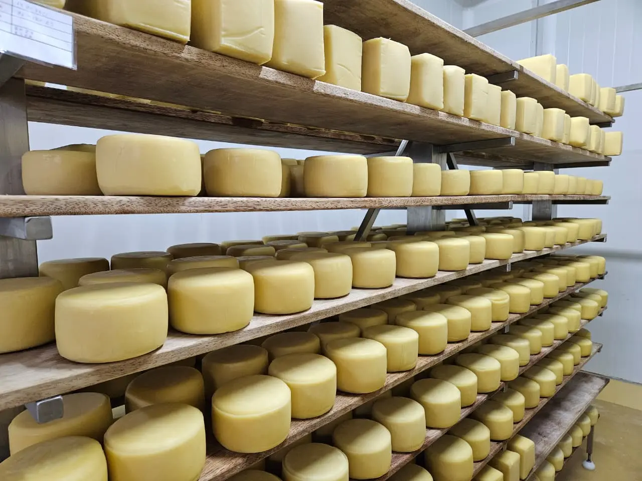 Área de maduración