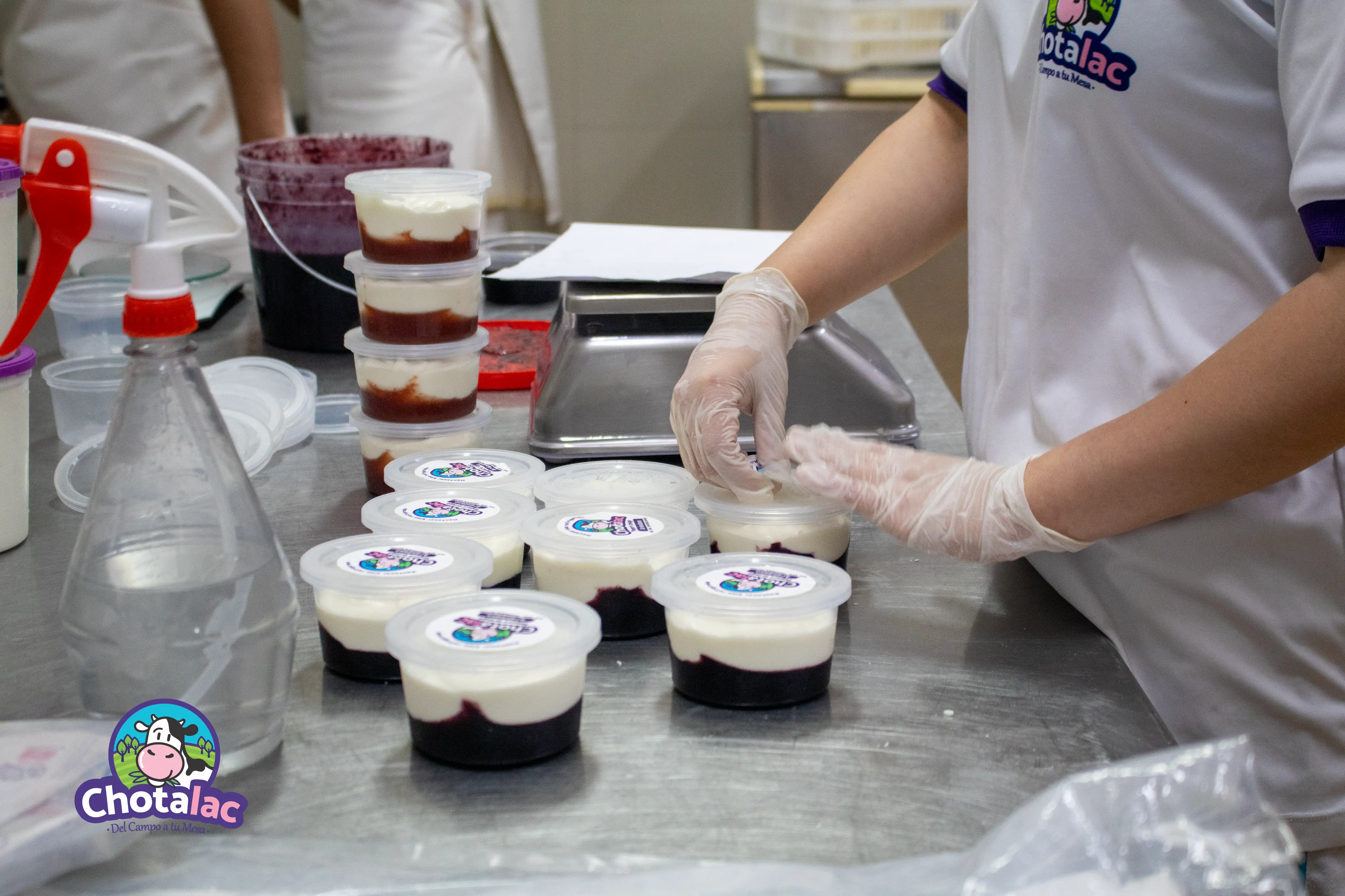 Elaboración de yogurt