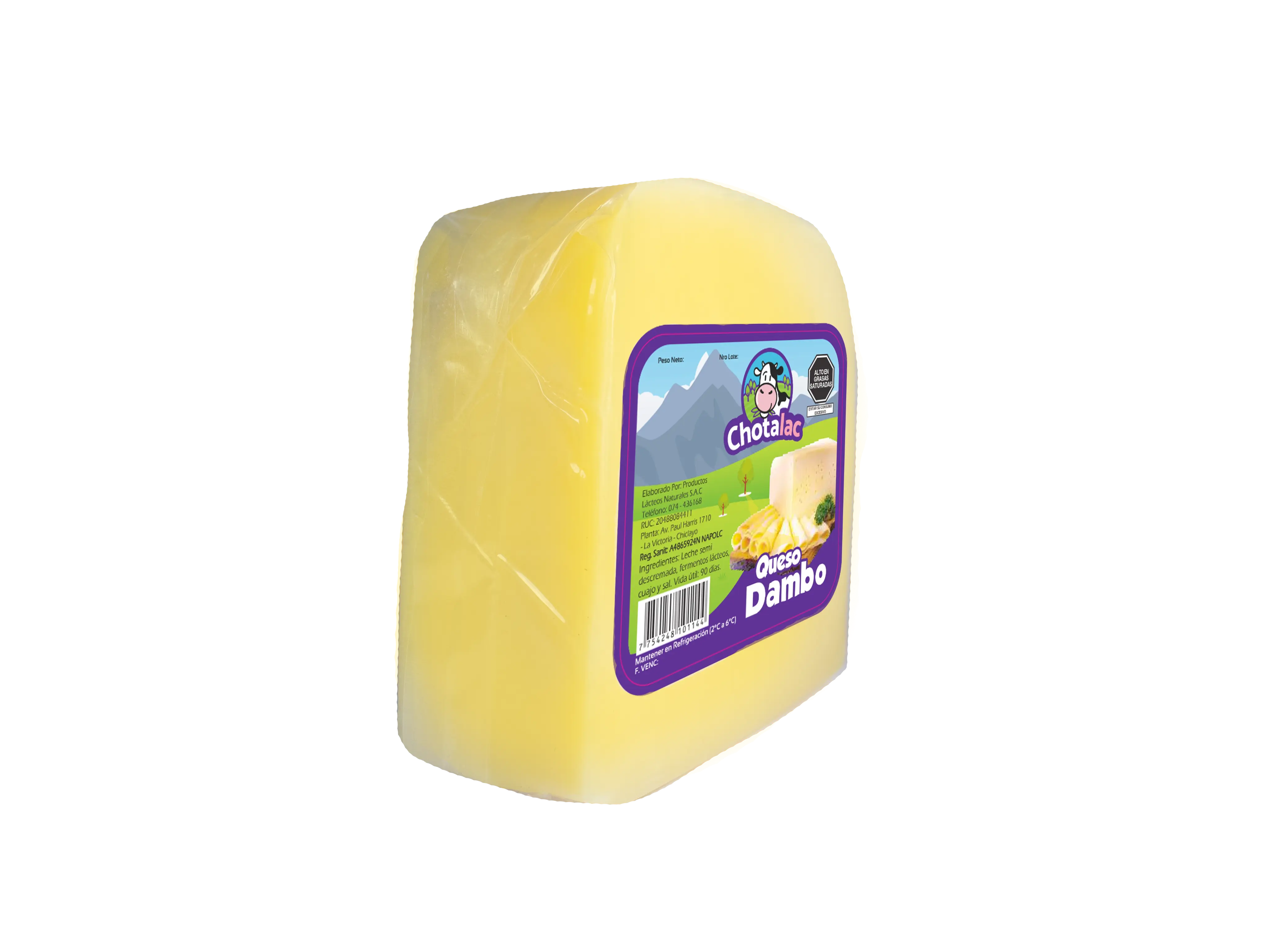 Queso Dambo - Vista 3